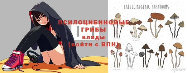 apvp Арсеньев