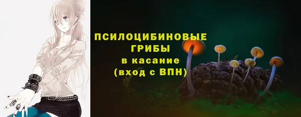 дурь Великий Новгород