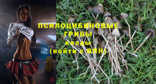 MDMA Premium VHQ Братск