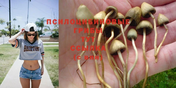 apvp Арсеньев